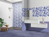 White Star 30X60
